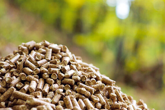 The DS Group as a supplier of wood pellets